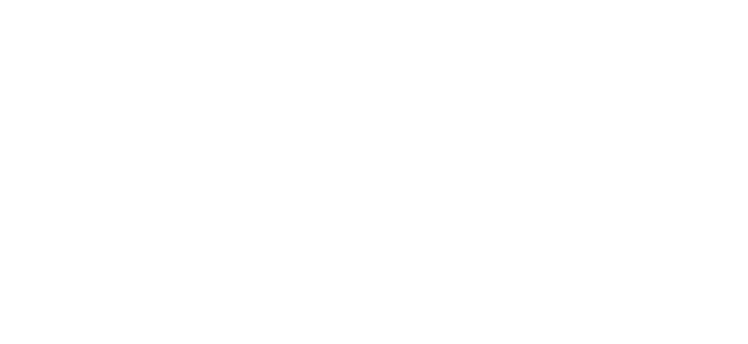 BIV graph