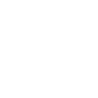 BIV - Logo